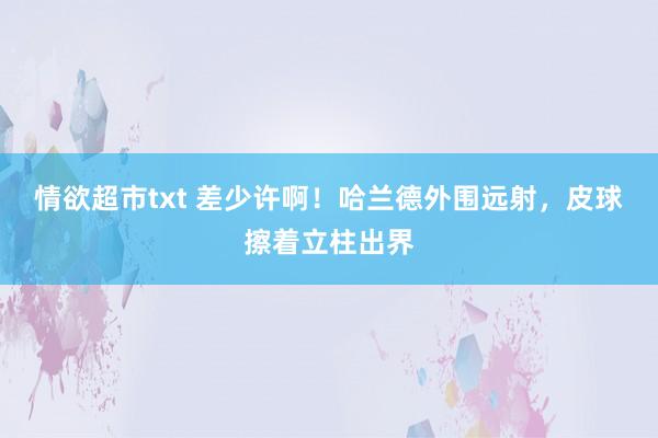 情欲超市txt 差少许啊！哈兰德外围远射，皮球擦着立柱出界