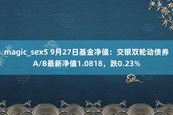 magic_sex5 9月27日基金净值：交银双轮动债券A/B最新净值1.0818，跌0.23%