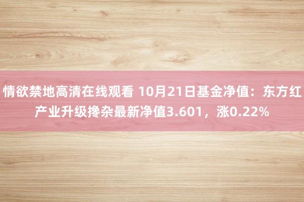 情欲禁地高清在线观看 10月21日基金净值：东方红产业升级搀杂最新净值3.601，涨0.22%