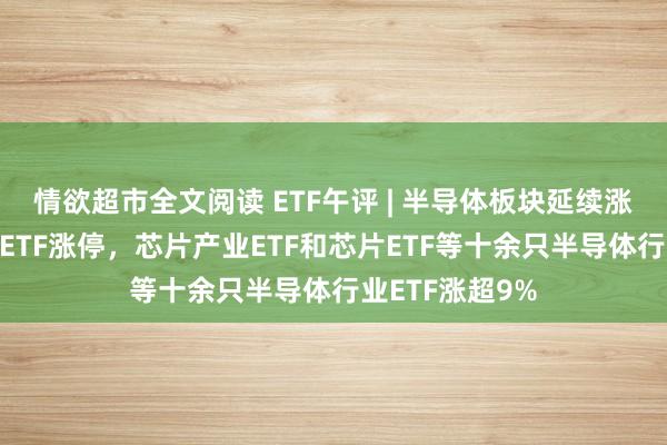 情欲超市全文阅读 ETF午评 | 半导体板块延续涨势，集成电路ETF涨停，芯片产业ETF和芯片ETF等十余只半导体行业ETF涨超9%