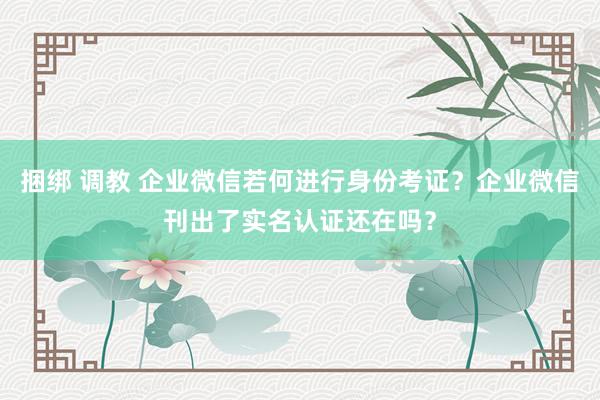 捆绑 调教 企业微信若何进行身份考证？企业微信刊出了实名认证还在吗？