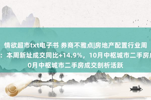 情欲超市txt电子书 券商不雅点|房地产配置行业周报2024W44：本周新址成交同比+14.9%，10月中枢城市二手房成交剖析活跃