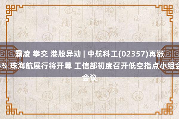 霸凌 拳交 港股异动 | 中航科工(02357)再涨超4% 珠海航展行将开幕 工信部初度召开低空指点小组会议