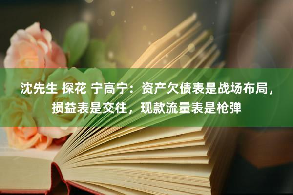 沈先生 探花 宁高宁：资产欠债表是战场布局，损益表是交往，现款流量表是枪弹