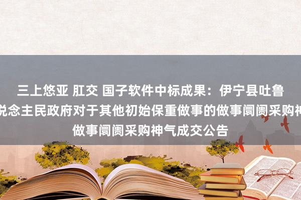 三上悠亚 肛交 国子软件中标成果：伊宁县吐鲁番于孜乡东说念主民政府对于其他初始保重做事的做事阛阓采购神气成交公告