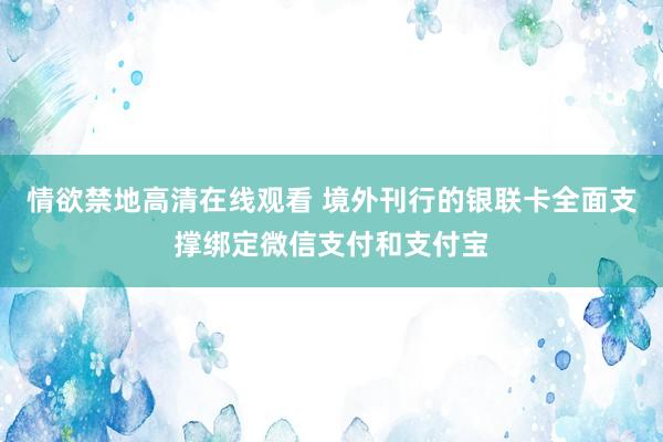 情欲禁地高清在线观看 境外刊行的银联卡全面支撑绑定微信支付和支付宝