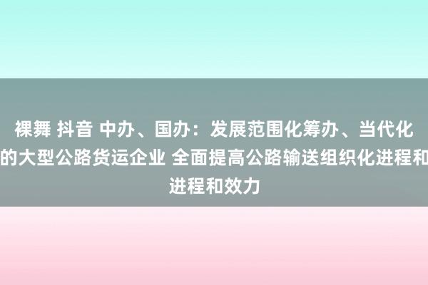 裸舞 抖音 中办、国办：发展范围化筹办、当代化管束的大型公路货运企业 全面提高公路输送组织化进程和效力