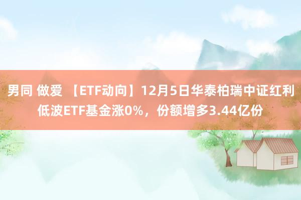 男同 做爱 【ETF动向】12月5日华泰柏瑞中证红利低波ETF基金涨0%，份额增多3.44亿份