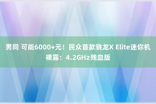 男同 可能6000+元！民众首款骁龙X Elite迷你机裸露：4.2GHz残血版