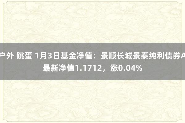 户外 跳蛋 1月3日基金净值：景顺长城景泰纯利债券A最新净值1.1712，涨0.04%