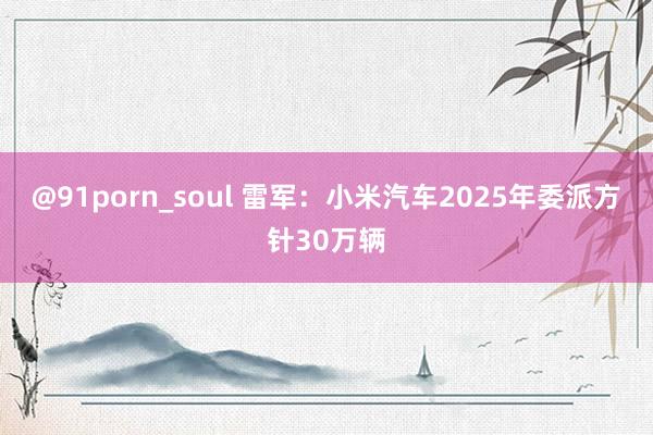 @91porn_soul 雷军：小米汽车2025年委派方针30万辆