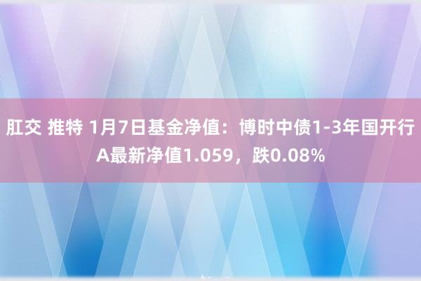 肛交 推特 1月7日基金净值：博时中债1-3年国开行A最新净值1.059，跌0.08%