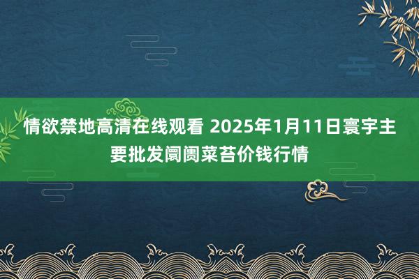 情欲禁地高清在线观看 2025年1月11日寰宇主要批发阛阓菜苔价钱行情