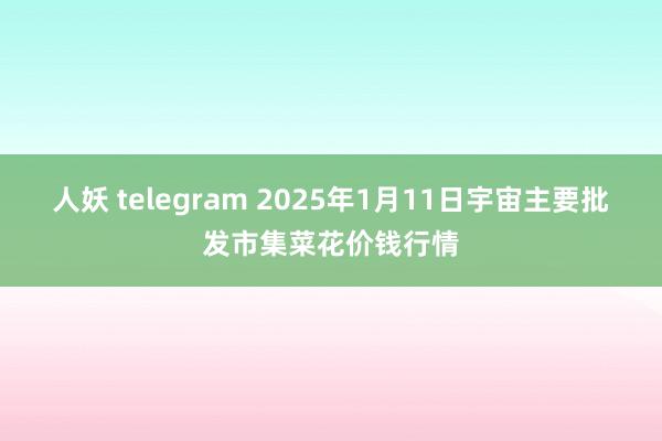 人妖 telegram 2025年1月11日宇宙主要批发市集菜花价钱行情