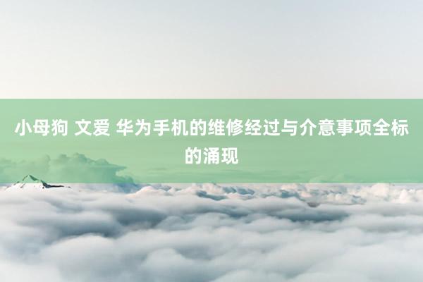 小母狗 文爱 华为手机的维修经过与介意事项全标的涌现