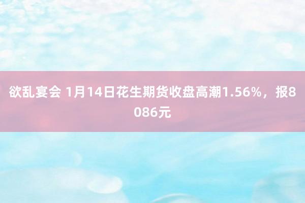 欲乱宴会 1月14日花生期货收盘高潮1.56%，报8086元