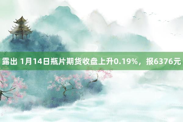 露出 1月14日瓶片期货收盘上升0.19%，报6376元