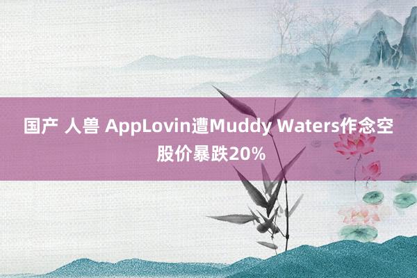 国产 人兽 AppLovin遭Muddy Waters作念空 股价暴跌20%