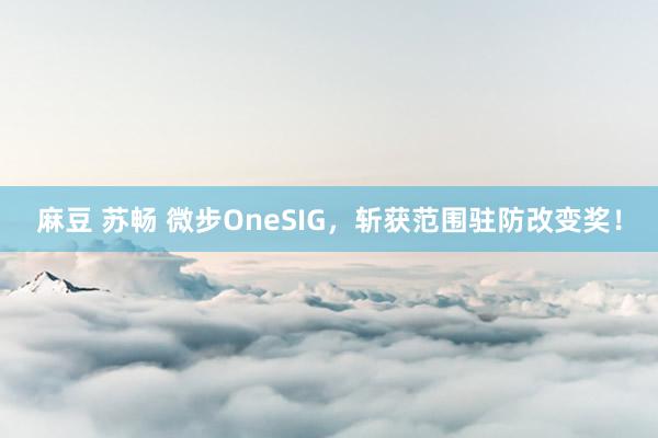 麻豆 苏畅 微步OneSIG，斩获范围驻防改变奖！