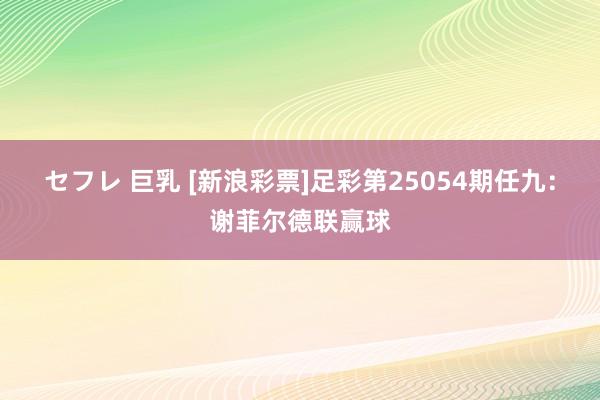 セフレ 巨乳 [新浪彩票]足彩第25054期任九：谢菲尔德联赢球